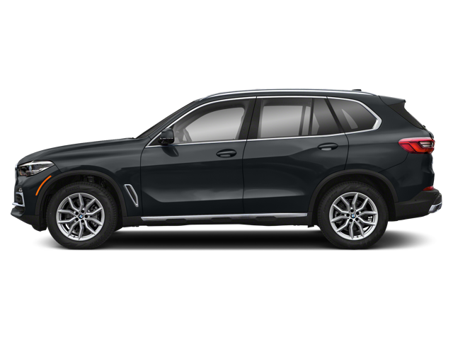 2019 Bmw X5 xDrive50i photo 3