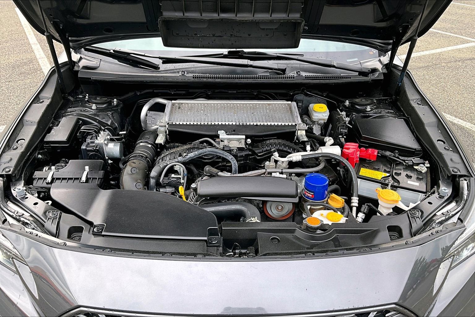 2023 Subaru WRX Limited