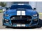 2021 Ford Mustang Shelby GT500