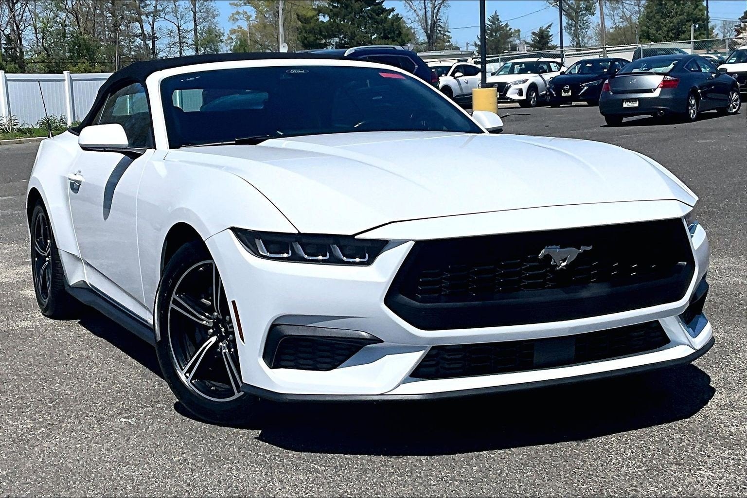 2024 Ford Mustang Eco Premium