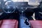 2024 Ford Mustang Eco Premium