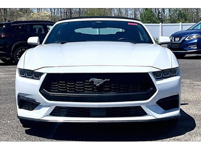 2024 Ford Mustang Eco Premium