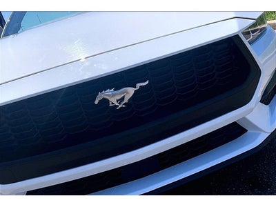 2024 Ford Mustang Eco Premium
