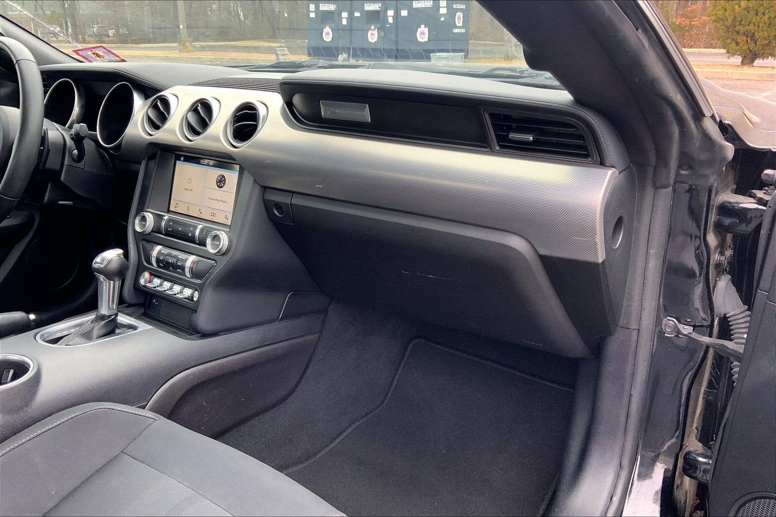 2019 Ford Mustang Eco