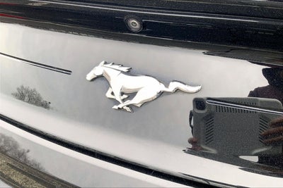 2019 Ford Mustang Eco